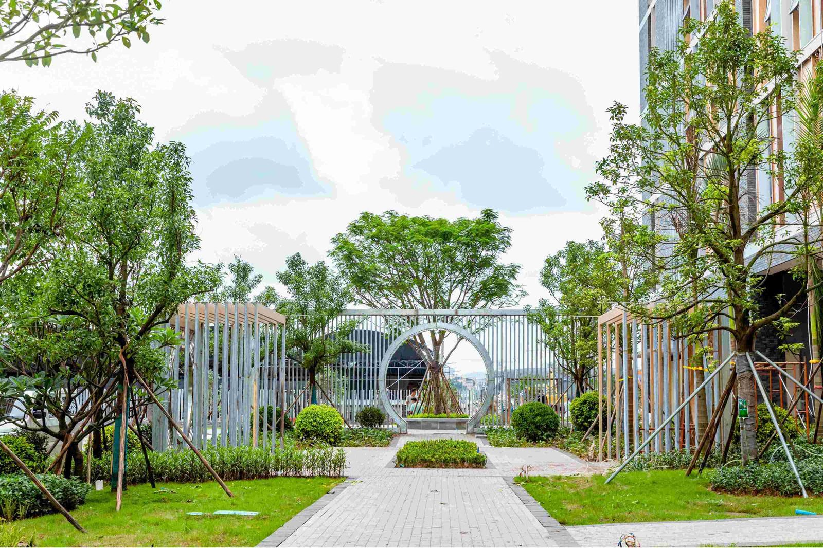 广州荔湾爱莎学校